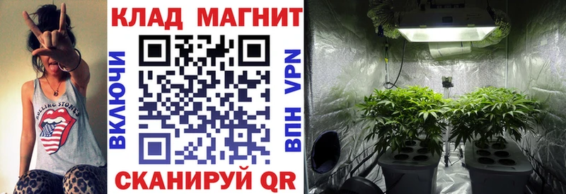 Виды наркотиков купить Полысаево Метамфетамин  МАРИХУАНА  Alpha PVP  ГАШИШ  Меф мяу мяу  COCAIN 