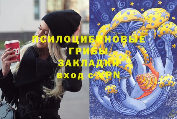 прущая мука Алзамай