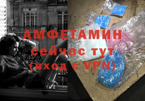 прущие грибы Алексеевка