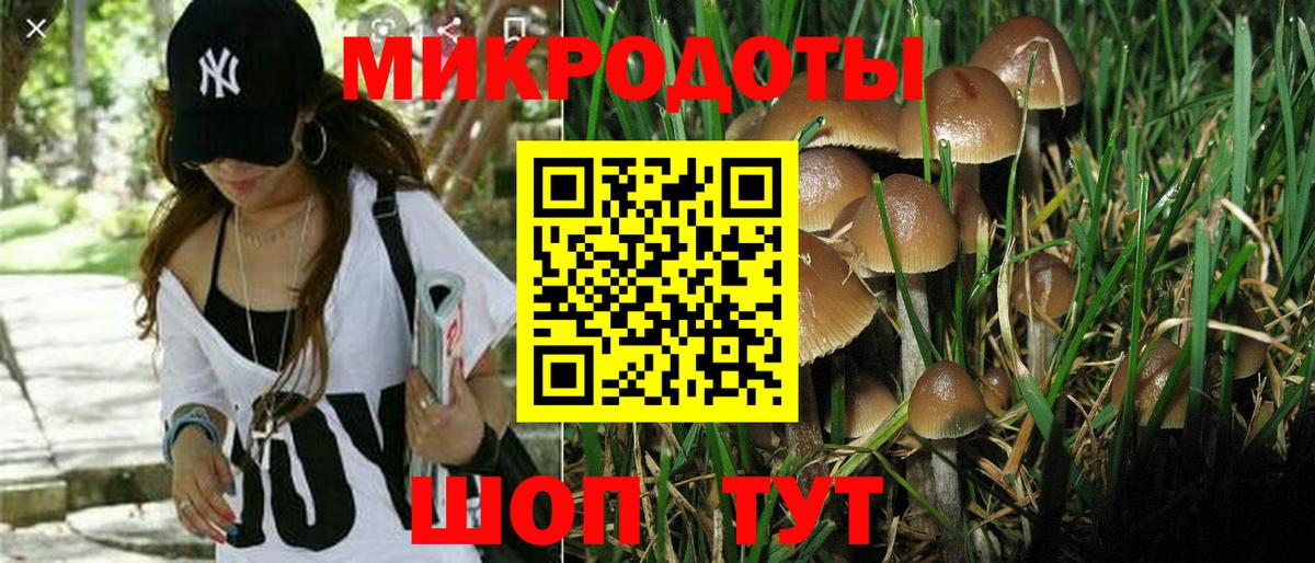 Полысаево  Галлюциногенные грибы Psilocybe  Вход с VPN 