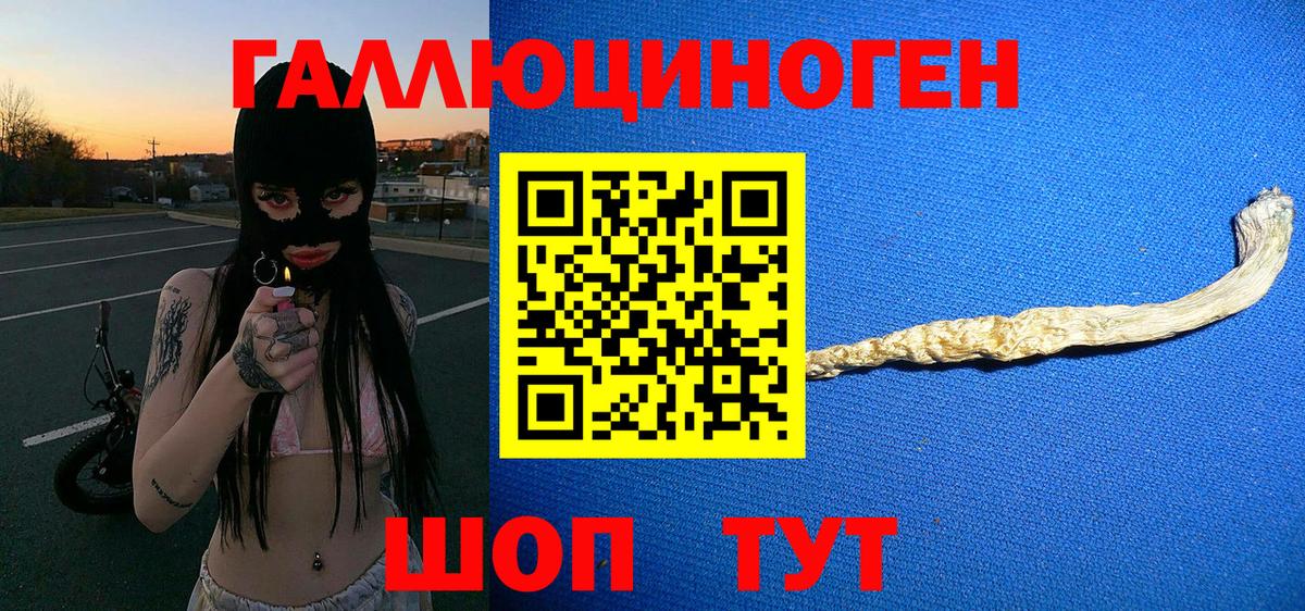 Псилоцибиновые грибы прущие грибы Полысаево